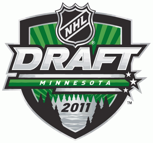 NHL Draft 2011 Primary Logo DIY iron on transfer (heat transfer)